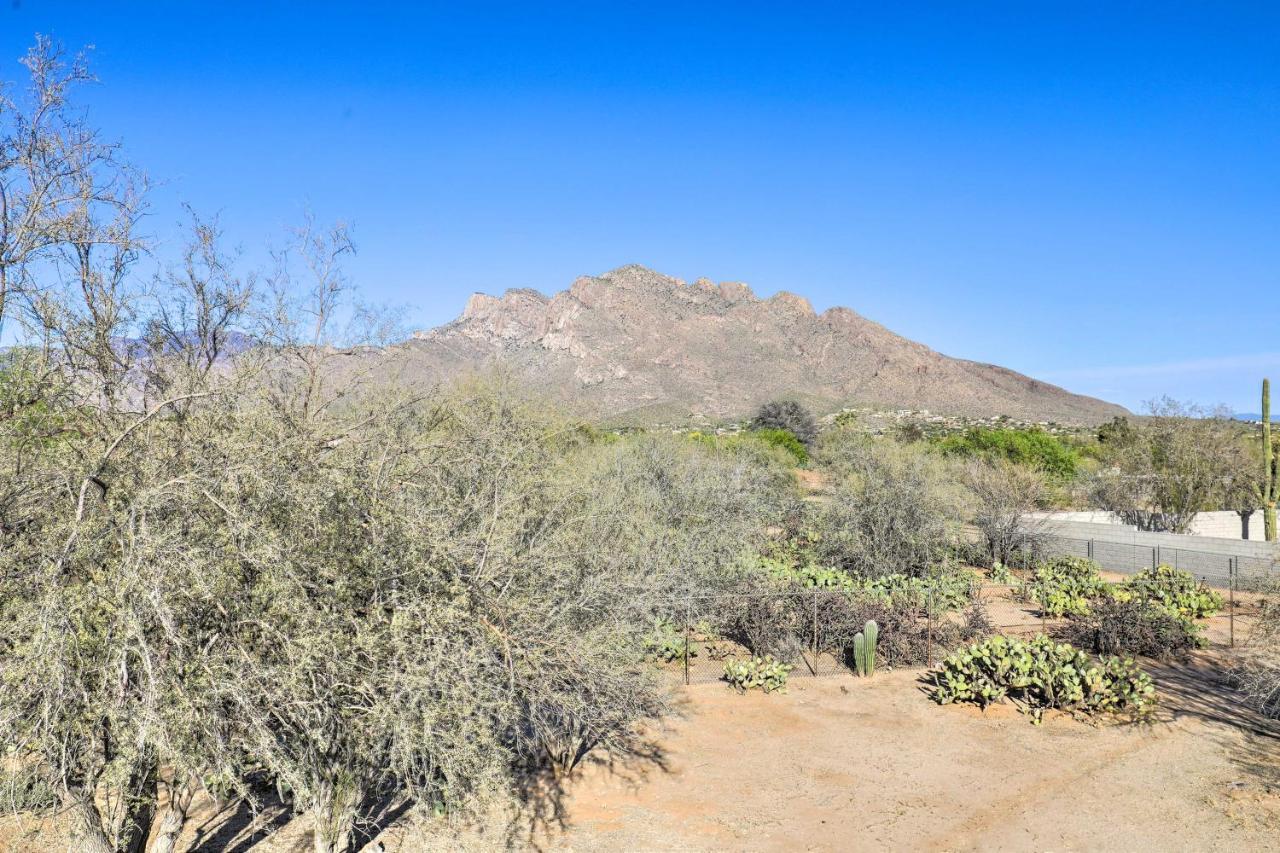 Oro Valley Retreat With Pool, Spa And Rooftop Views! Luaran gambar